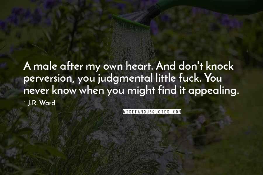 J.R. Ward Quotes: A male after my own heart. And don't knock perversion, you judgmental little fuck. You never know when you might find it appealing.