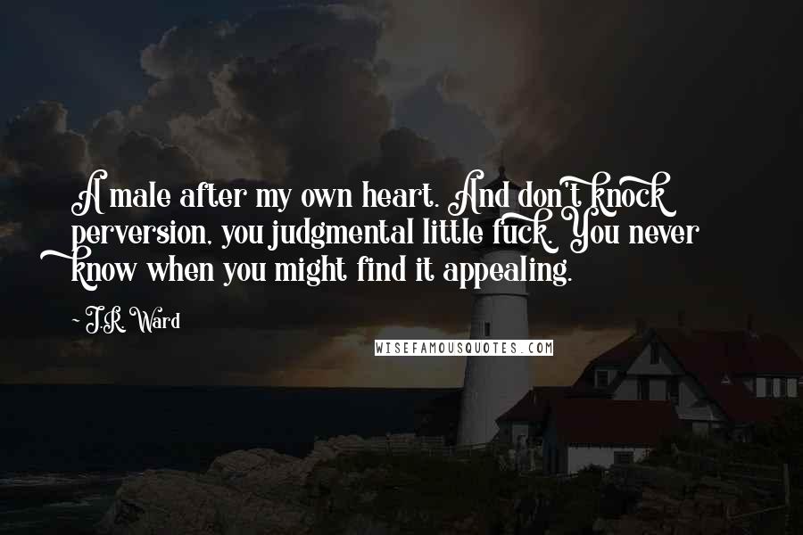 J.R. Ward Quotes: A male after my own heart. And don't knock perversion, you judgmental little fuck. You never know when you might find it appealing.