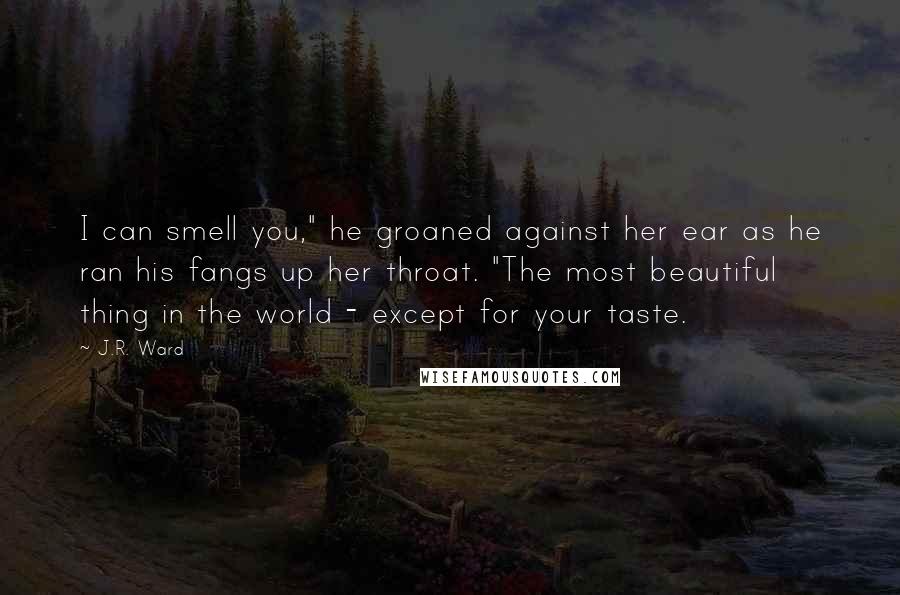 J.R. Ward Quotes: I can smell you," he groaned against her ear as he ran his fangs up her throat. "The most beautiful thing in the world - except for your taste.