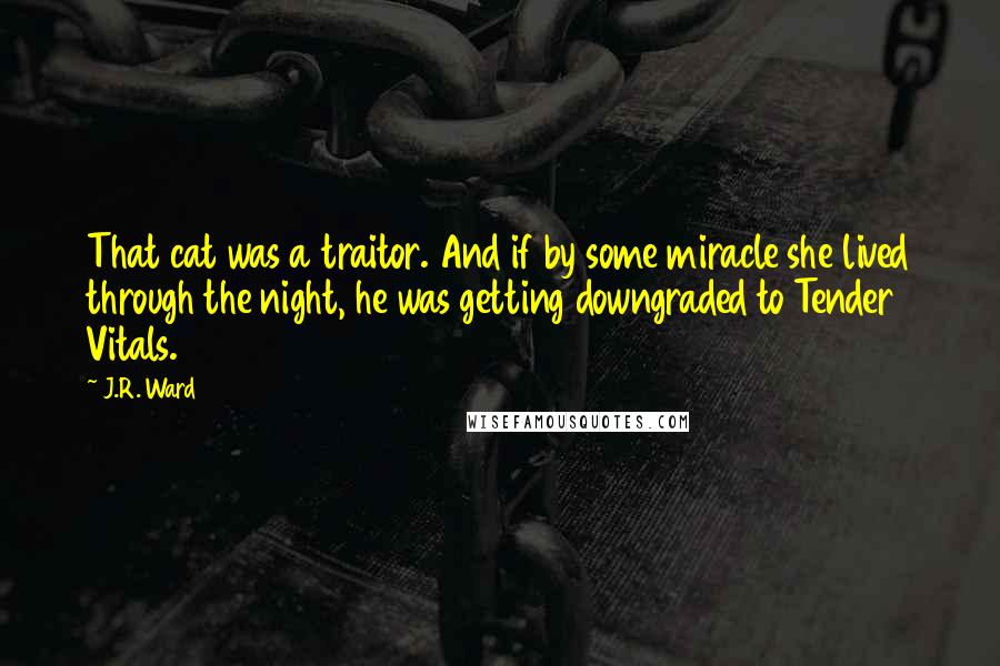 J.R. Ward Quotes: That cat was a traitor. And if by some miracle she lived through the night, he was getting downgraded to Tender Vitals.