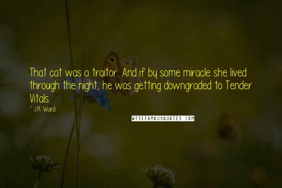 J.R. Ward Quotes: That cat was a traitor. And if by some miracle she lived through the night, he was getting downgraded to Tender Vitals.