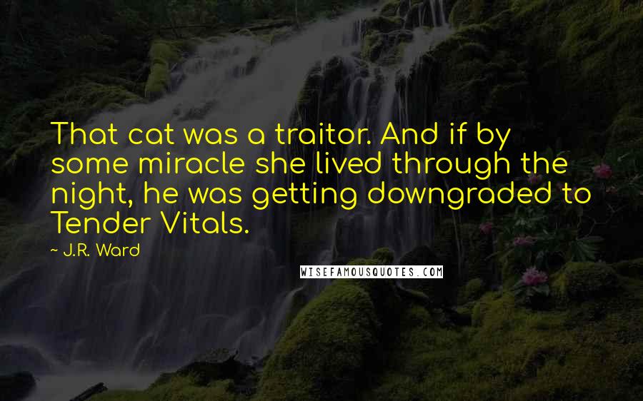J.R. Ward Quotes: That cat was a traitor. And if by some miracle she lived through the night, he was getting downgraded to Tender Vitals.