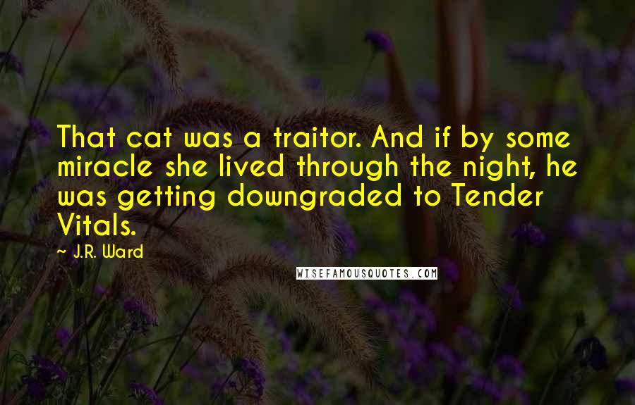 J.R. Ward Quotes: That cat was a traitor. And if by some miracle she lived through the night, he was getting downgraded to Tender Vitals.