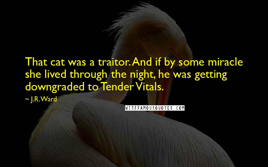 J.R. Ward Quotes: That cat was a traitor. And if by some miracle she lived through the night, he was getting downgraded to Tender Vitals.