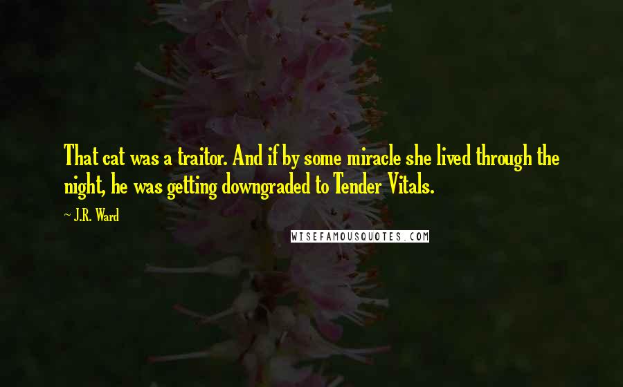 J.R. Ward Quotes: That cat was a traitor. And if by some miracle she lived through the night, he was getting downgraded to Tender Vitals.