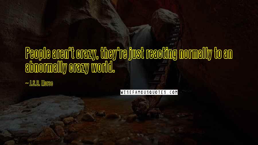 J.S.B. Morse Quotes: People aren't crazy, they're just reacting normally to an abnormally crazy world.