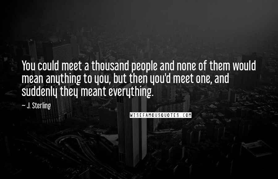 J. Sterling Quotes: You could meet a thousand people and none of them would mean anything to you, but then you'd meet one, and suddenly they meant everything.