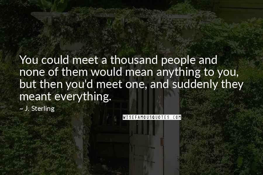 J. Sterling Quotes: You could meet a thousand people and none of them would mean anything to you, but then you'd meet one, and suddenly they meant everything.