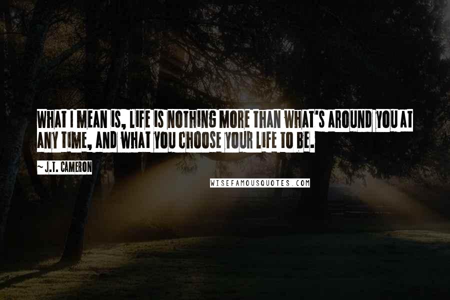 J.T. Cameron Quotes: What I mean is, life is nothing more than what's around you at any time, and what you choose your life to be.