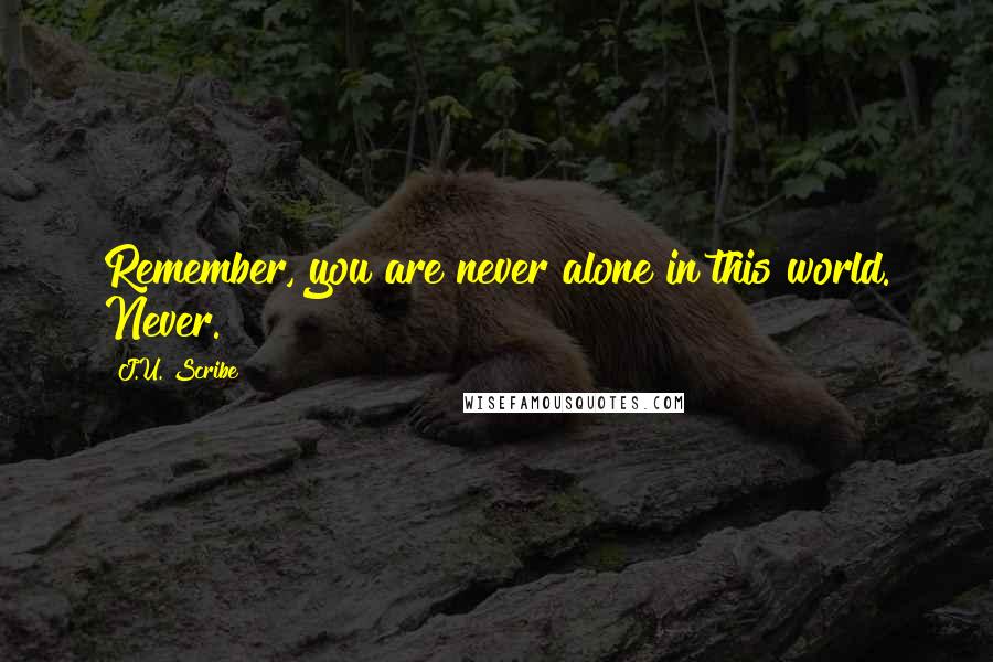 J.U. Scribe Quotes: Remember, you are never alone in this world. Never.