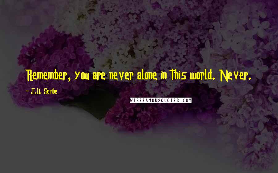 J.U. Scribe Quotes: Remember, you are never alone in this world. Never.