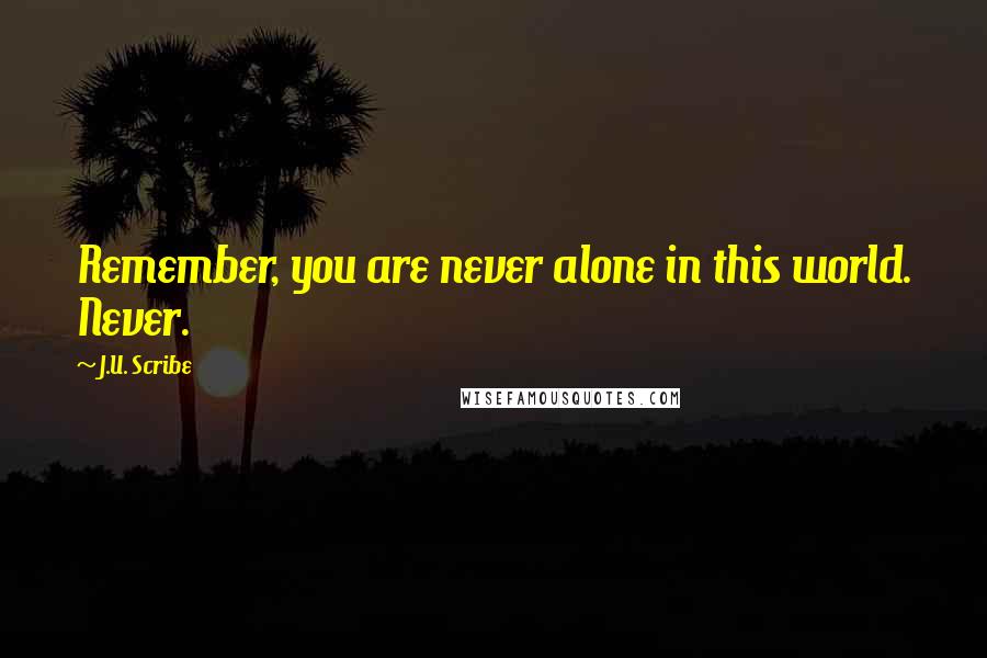 J.U. Scribe Quotes: Remember, you are never alone in this world. Never.