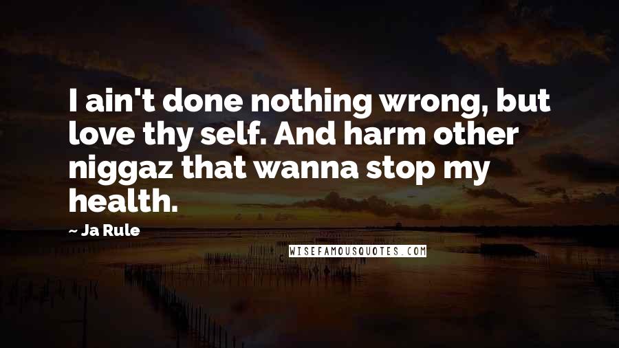 Ja Rule Quotes: I ain't done nothing wrong, but love thy self. And harm other niggaz that wanna stop my health.