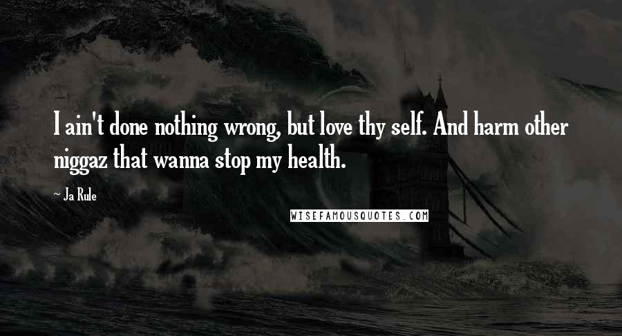 Ja Rule Quotes: I ain't done nothing wrong, but love thy self. And harm other niggaz that wanna stop my health.