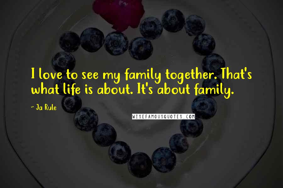 Ja Rule Quotes: I love to see my family together. That's what life is about. It's about family.