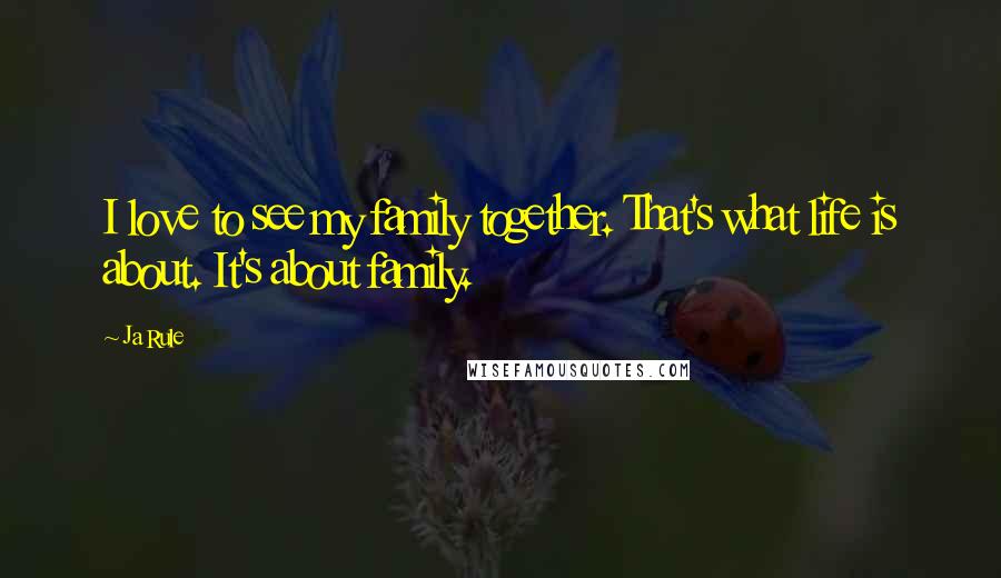 Ja Rule Quotes: I love to see my family together. That's what life is about. It's about family.