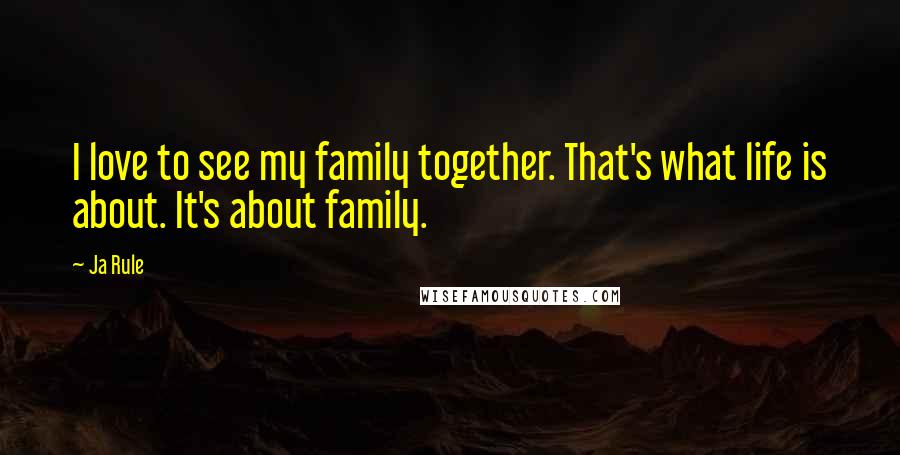 Ja Rule Quotes: I love to see my family together. That's what life is about. It's about family.