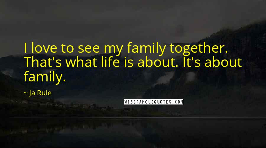 Ja Rule Quotes: I love to see my family together. That's what life is about. It's about family.