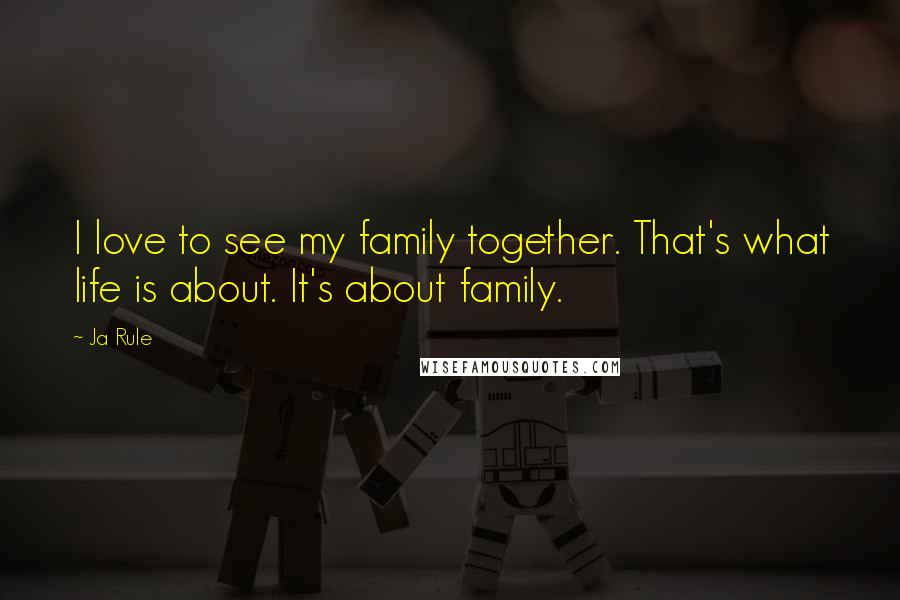 Ja Rule Quotes: I love to see my family together. That's what life is about. It's about family.