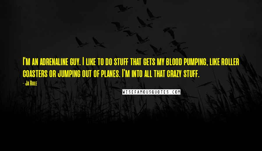 Ja Rule Quotes: I'm an adrenaline guy. I like to do stuff that gets my blood pumping, like roller coasters or jumping out of planes. I'm into all that crazy stuff.