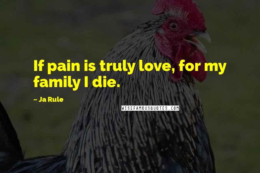 Ja Rule Quotes: If pain is truly love, for my family I die.