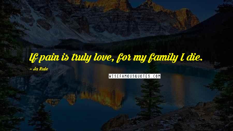 Ja Rule Quotes: If pain is truly love, for my family I die.