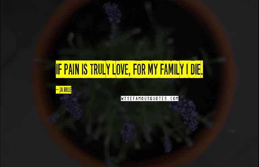 Ja Rule Quotes: If pain is truly love, for my family I die.