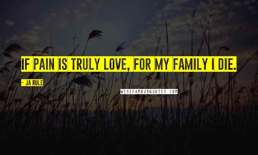 Ja Rule Quotes: If pain is truly love, for my family I die.
