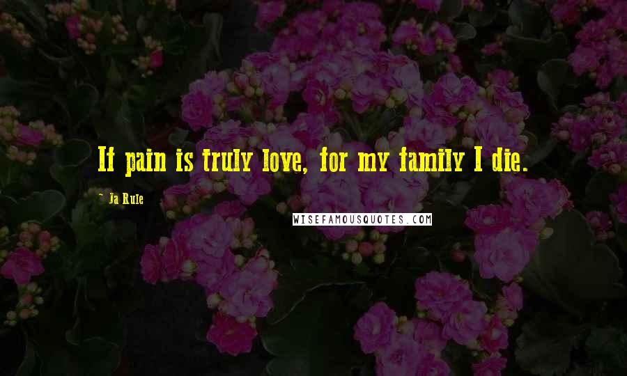 Ja Rule Quotes: If pain is truly love, for my family I die.