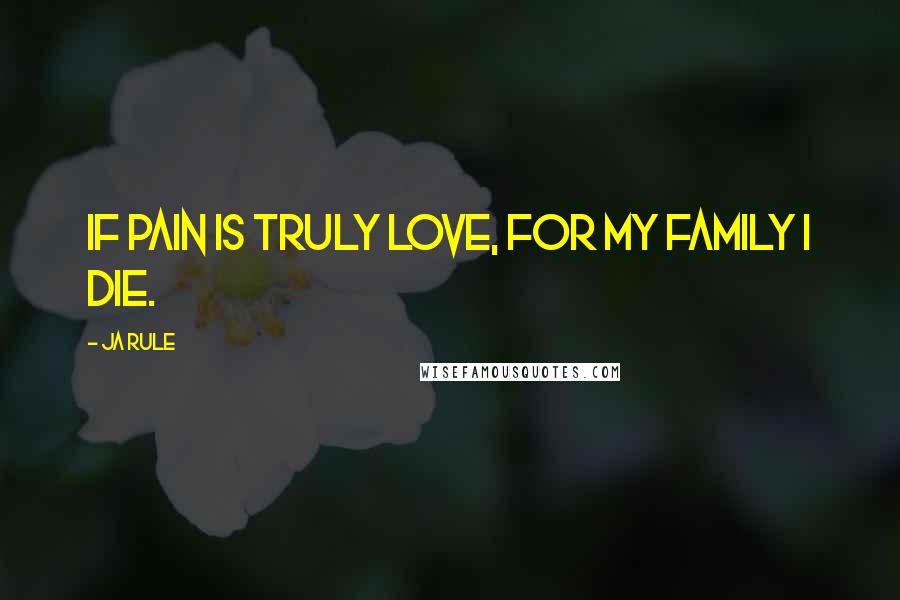 Ja Rule Quotes: If pain is truly love, for my family I die.