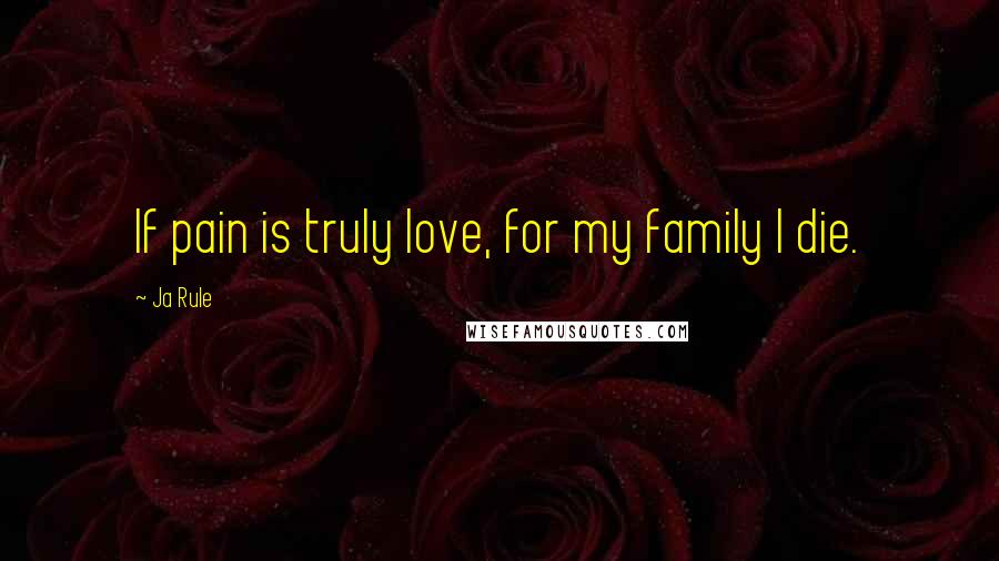 Ja Rule Quotes: If pain is truly love, for my family I die.