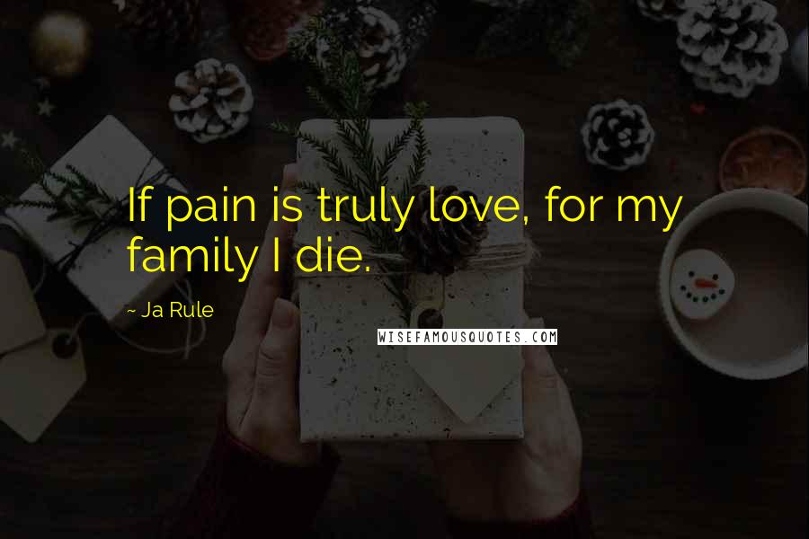 Ja Rule Quotes: If pain is truly love, for my family I die.