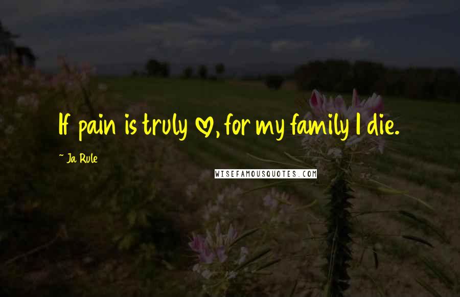 Ja Rule Quotes: If pain is truly love, for my family I die.