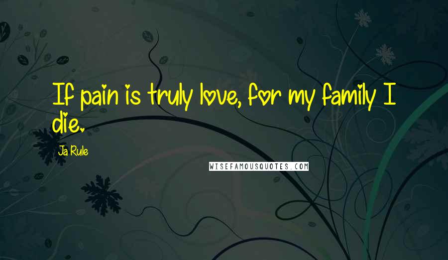 Ja Rule Quotes: If pain is truly love, for my family I die.