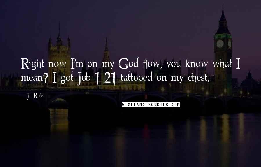 Ja Rule Quotes: Right now I'm on my God flow, you know what I mean? I got Job 1:21 tattooed on my chest.