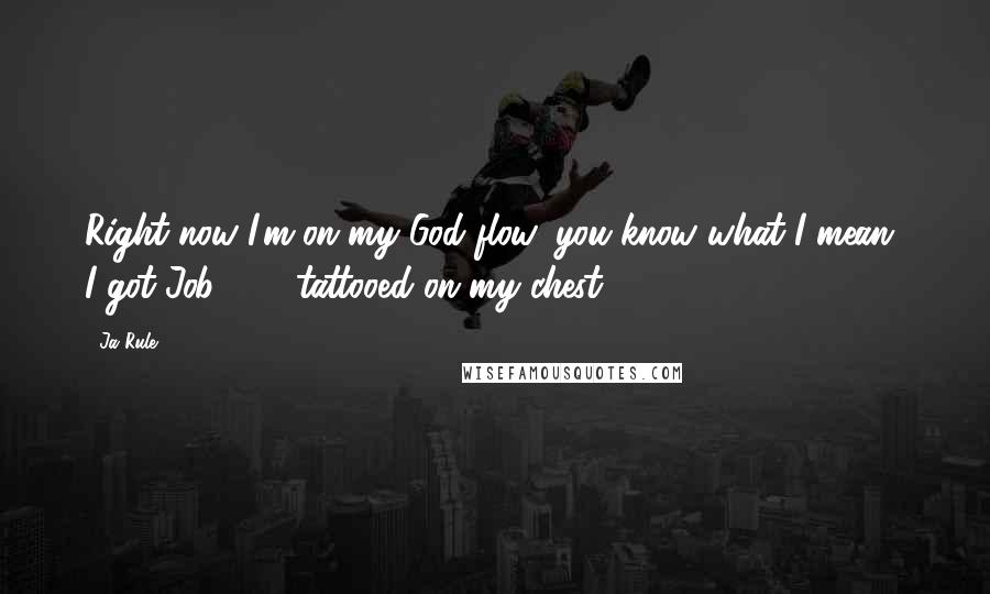 Ja Rule Quotes: Right now I'm on my God flow, you know what I mean? I got Job 1:21 tattooed on my chest.