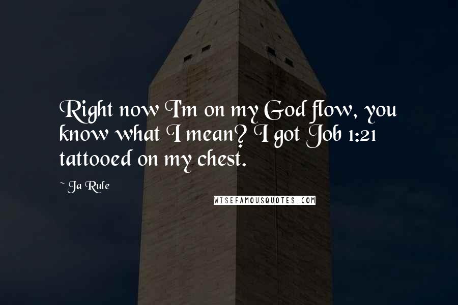 Ja Rule Quotes: Right now I'm on my God flow, you know what I mean? I got Job 1:21 tattooed on my chest.