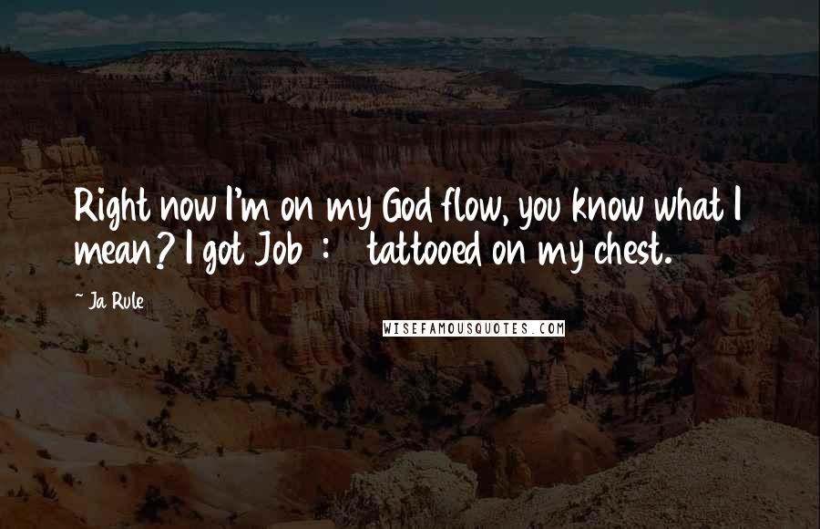Ja Rule Quotes: Right now I'm on my God flow, you know what I mean? I got Job 1:21 tattooed on my chest.