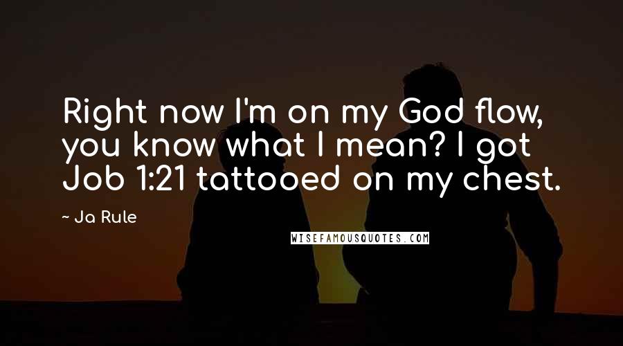 Ja Rule Quotes: Right now I'm on my God flow, you know what I mean? I got Job 1:21 tattooed on my chest.