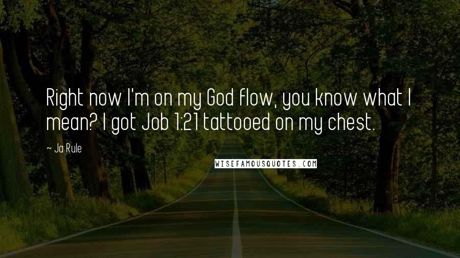 Ja Rule Quotes: Right now I'm on my God flow, you know what I mean? I got Job 1:21 tattooed on my chest.