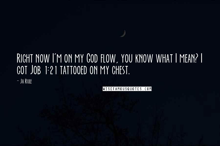 Ja Rule Quotes: Right now I'm on my God flow, you know what I mean? I got Job 1:21 tattooed on my chest.
