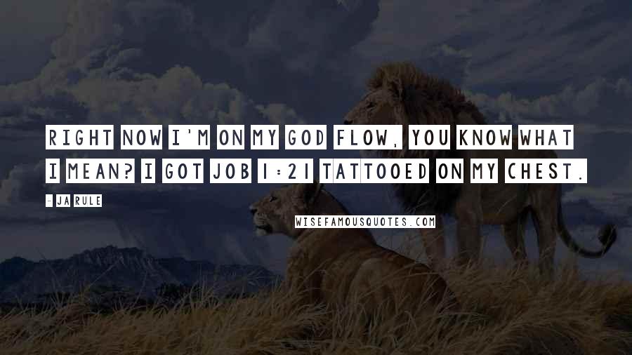 Ja Rule Quotes: Right now I'm on my God flow, you know what I mean? I got Job 1:21 tattooed on my chest.