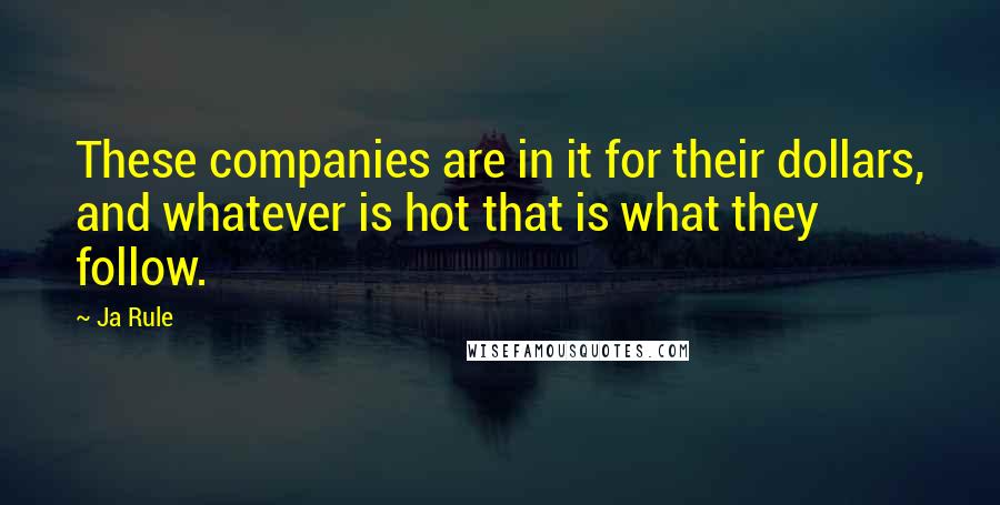 Ja Rule Quotes: These companies are in it for their dollars, and whatever is hot that is what they follow.