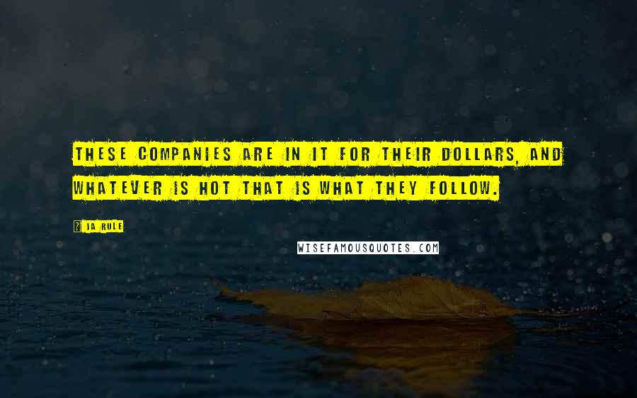 Ja Rule Quotes: These companies are in it for their dollars, and whatever is hot that is what they follow.