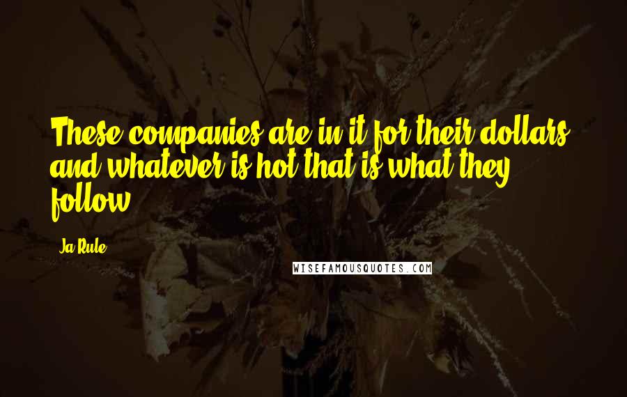 Ja Rule Quotes: These companies are in it for their dollars, and whatever is hot that is what they follow.