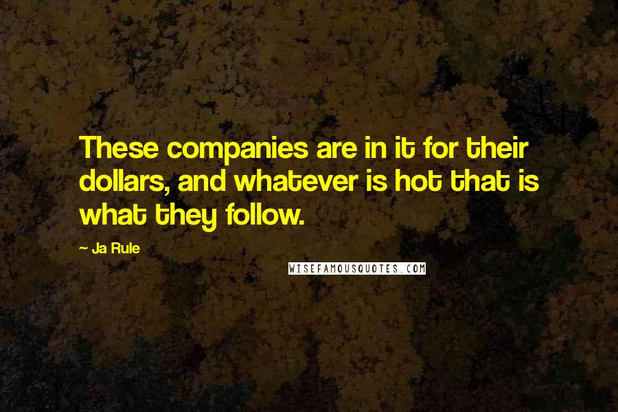 Ja Rule Quotes: These companies are in it for their dollars, and whatever is hot that is what they follow.