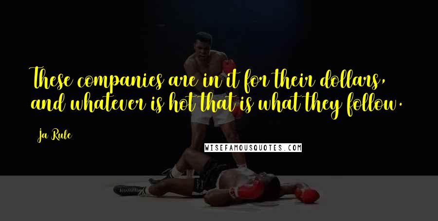 Ja Rule Quotes: These companies are in it for their dollars, and whatever is hot that is what they follow.