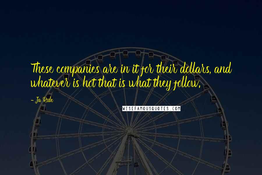 Ja Rule Quotes: These companies are in it for their dollars, and whatever is hot that is what they follow.