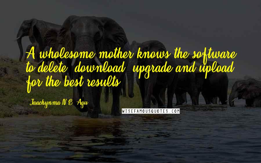 Jaachynma N.E. Agu Quotes: A wholesome mother knows the software to delete, download, upgrade and upload for the best results.