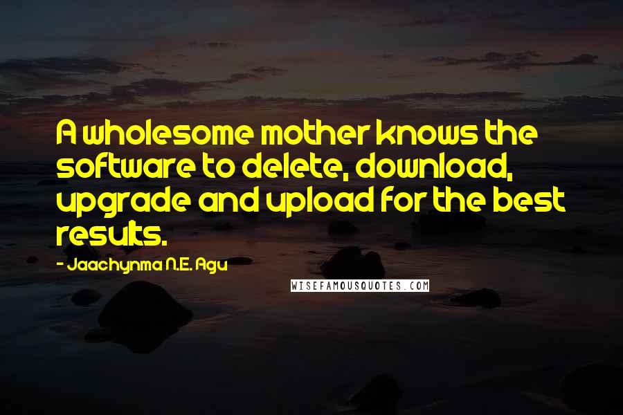 Jaachynma N.E. Agu Quotes: A wholesome mother knows the software to delete, download, upgrade and upload for the best results.